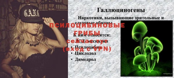 СК Алексеевка