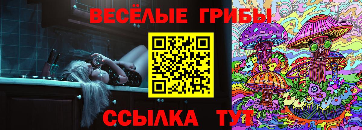 купить закладку  Псилоцибиновые грибы мухоморы  Вход с VPN  Псилоцибиновые грибы Psilocybine cubensis  Волжский 